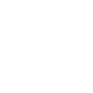 Apore logo